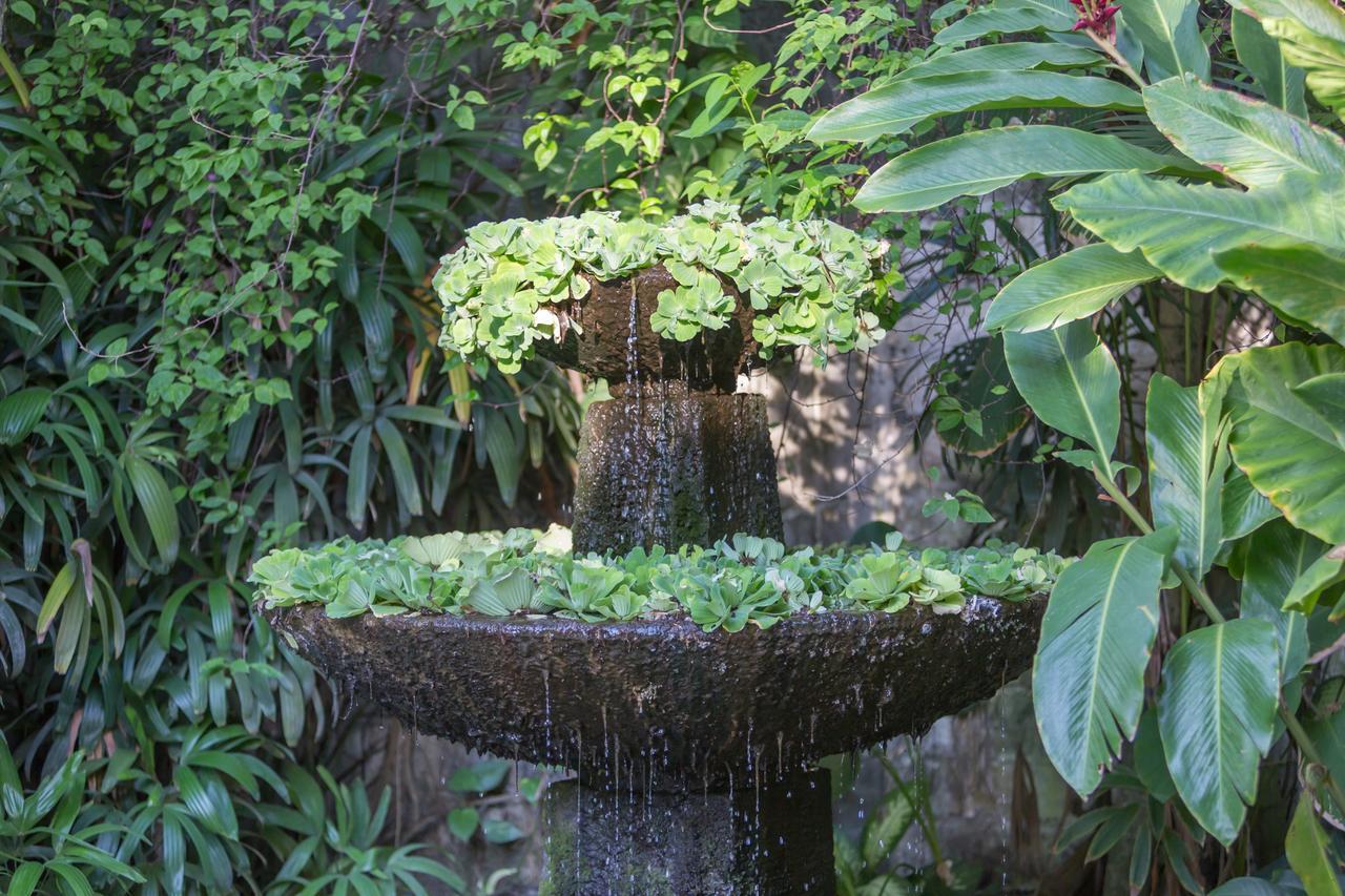 Villa Tangra スミニャック エクステリア 写真